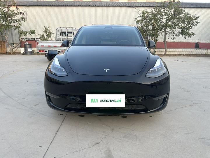 Model Y 2021 Standard Range RWD photo 2