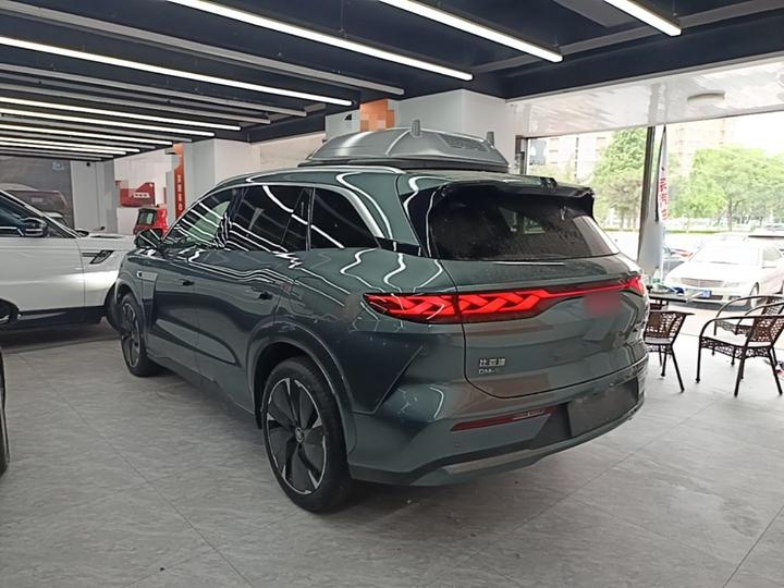 Tang L 2025 DM 175KM photo 4