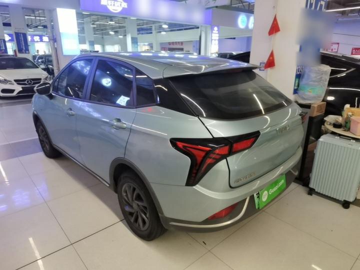 Neta V 2022 300 Lite LFP photo 4