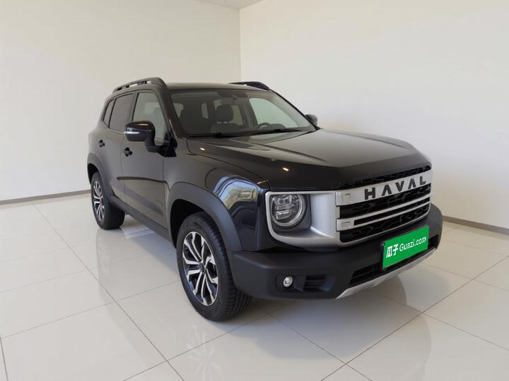 Dargo 2024 1.5T DCT photo 3