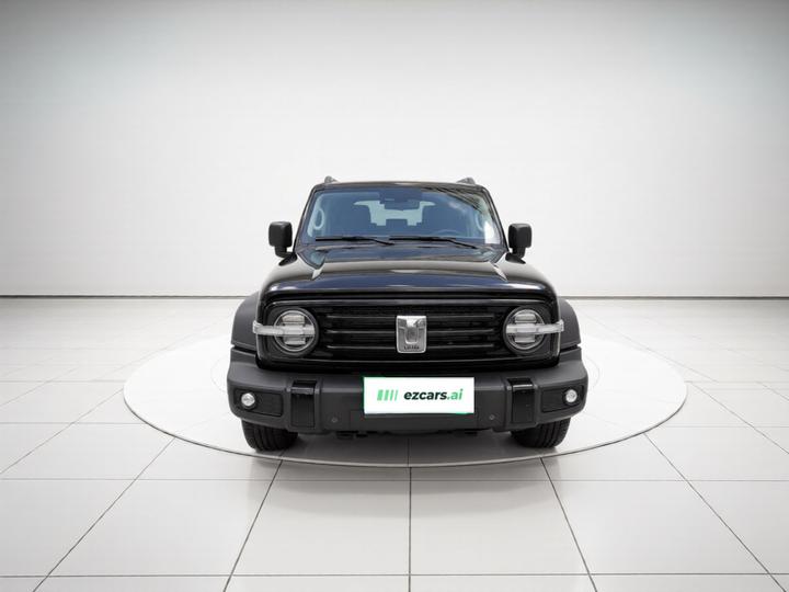 300 2021 Off-road 2.0T Conqueror photo 2
