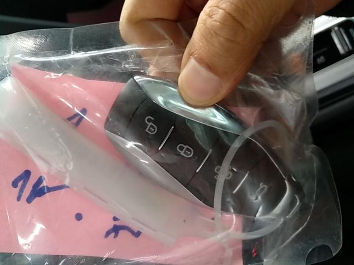 H5 PHEV 2025 130 photo 8