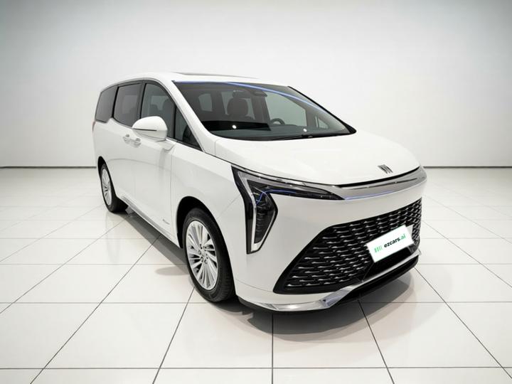 2025 2.0T 7-Seater photo 3