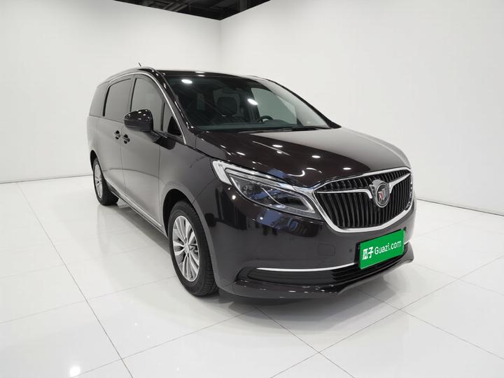 GL8 2018 ES 28T Flagship China VI photo 3