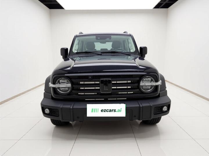 300 2024 2.0T Conqueror photo 2