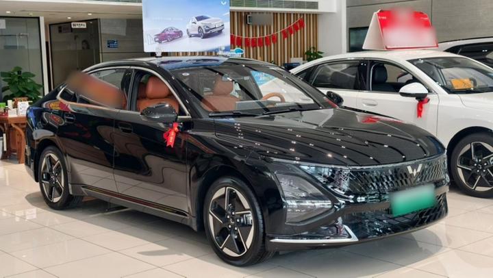 Wuling 2025 150km Smart Pilot photo 3