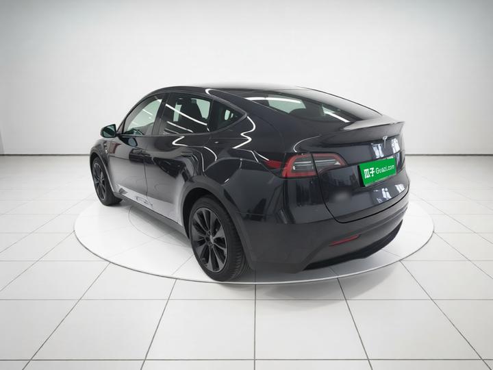 Model Y 2024 RWD photo 4