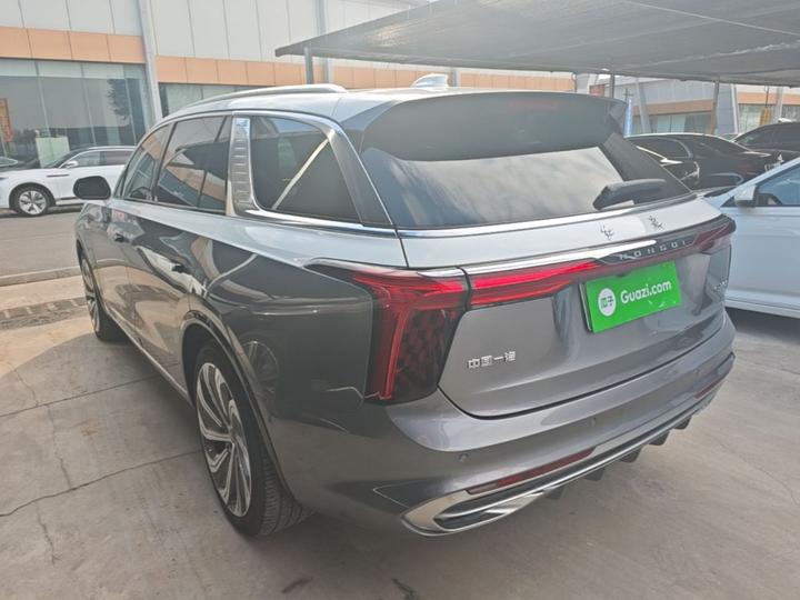E-HS9 2022 660km 4-Seater photo 4