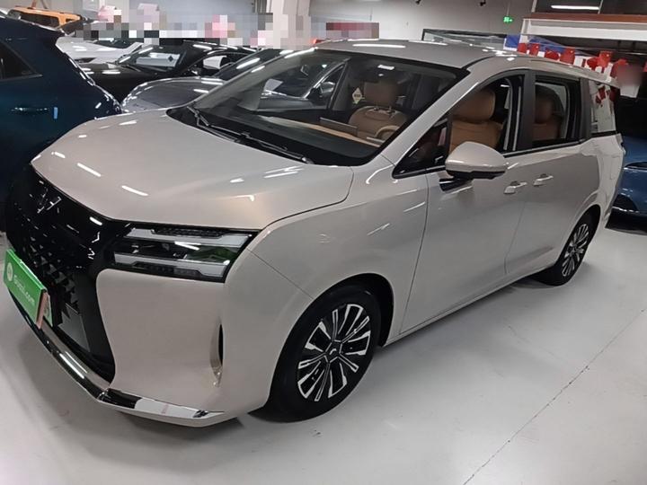 730 EV 2025 125km Luxury
