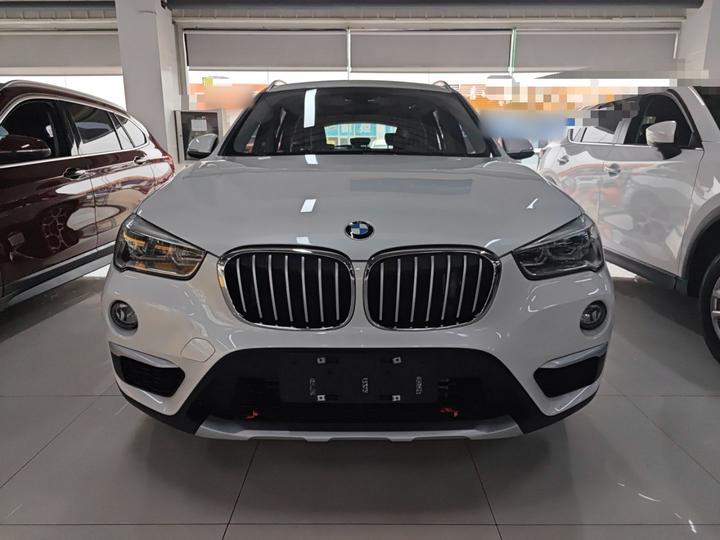 X1 2019 xDrive20Li Exclusive photo 2