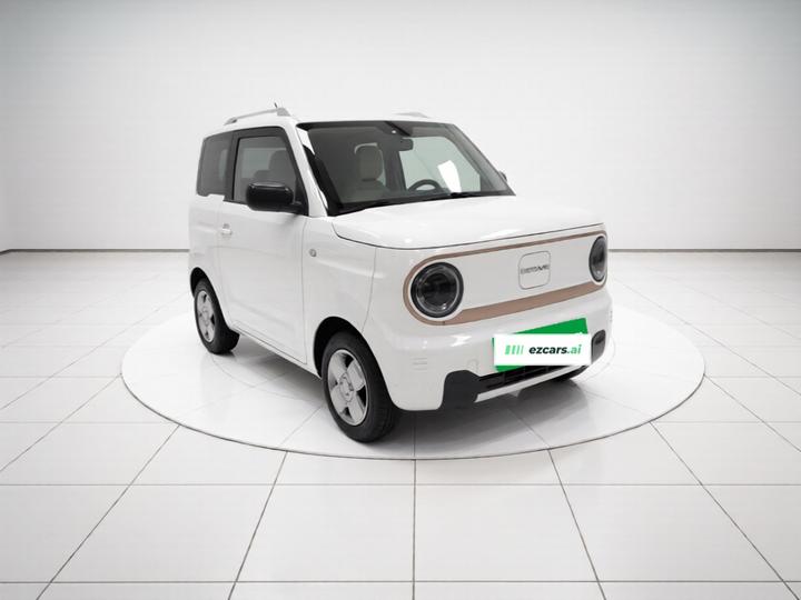 2024 Panda mini 200km Endurance Bear photo 3