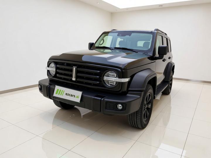 300 2021 Off-road 2.0T