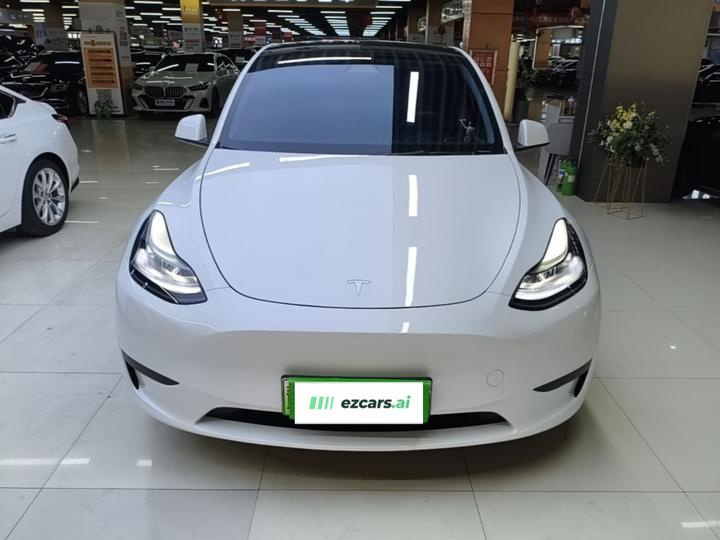 Model Y 2024 RWD photo 2