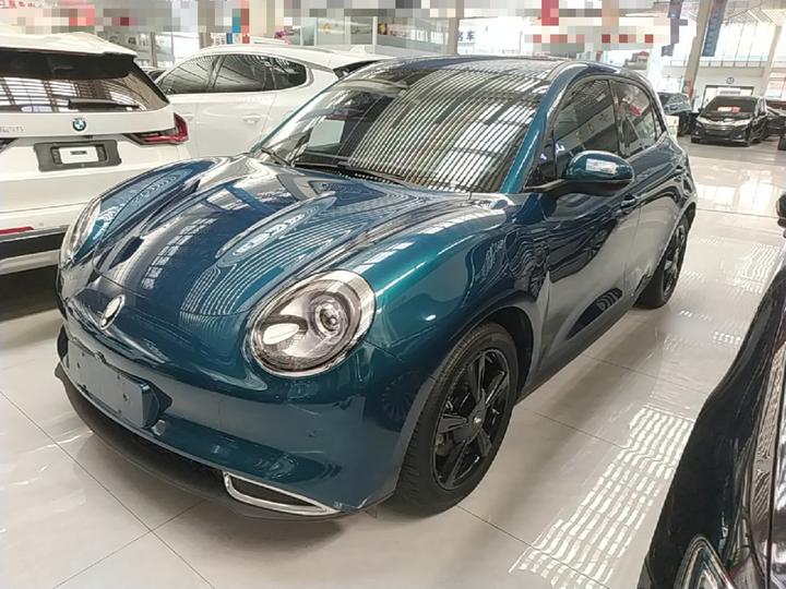 Good Cat 2024 501km Luxury
