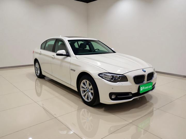 5 Series 2014 520Li photo 3