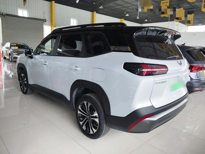 560 EV 2026 125km Luxury photo 4