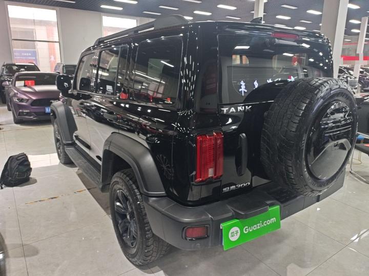 300 2023 Off-road 2.0T Conqueror photo 4