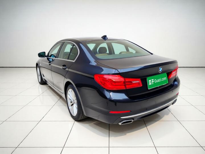 5 Series 2019 Facelift 530Li Exclusive Luxury photo 4