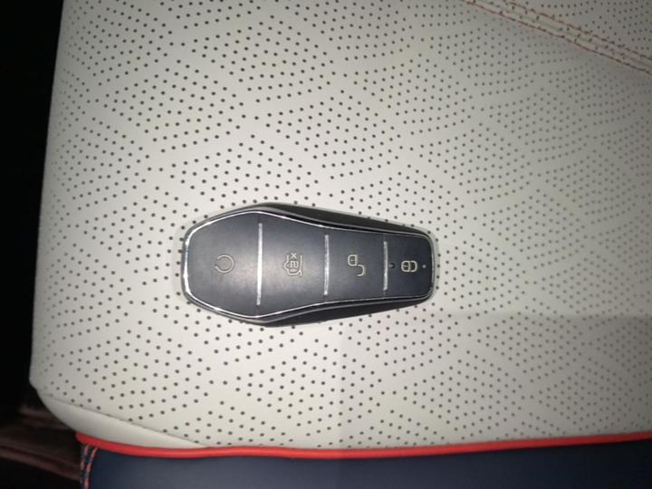 Yuan PLUS 2022 510KM Flagship photo 8
