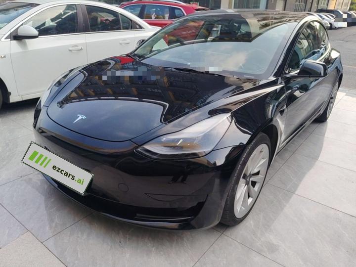 Model 3 2021 Facelift Standard Range RWD Upgraded 3D1