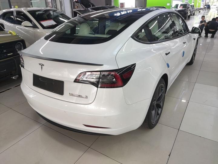 Model 3 2021 Performance AWD photo 6