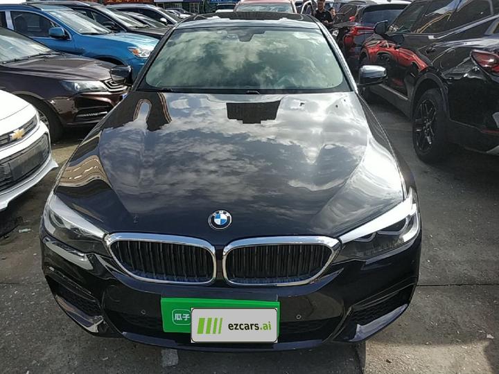 5 Series 2019 530Li Leading M Sport Package photo 2