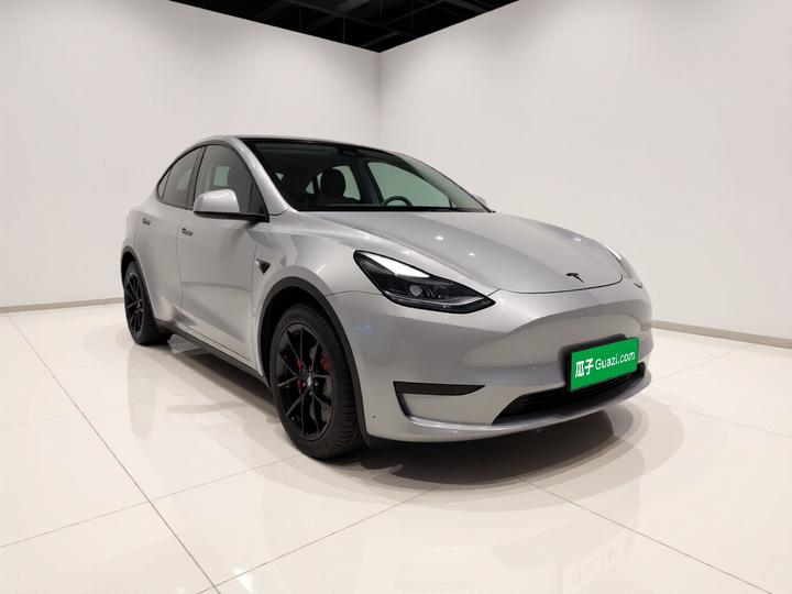 Model Y 2021 Standard Range RWD photo 3