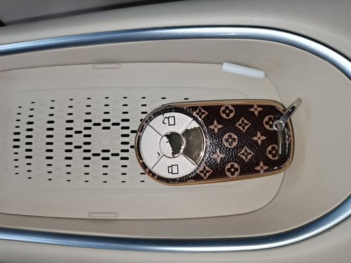 Good Cat 2023 401km Standard Range Luxury LFP photo 8