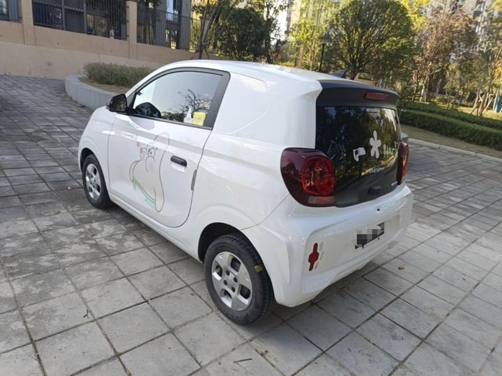 Clever R 2021 302km Excellence photo 4