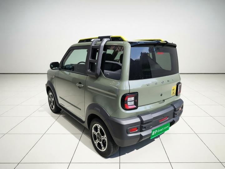 2025 210km Panda photo 4