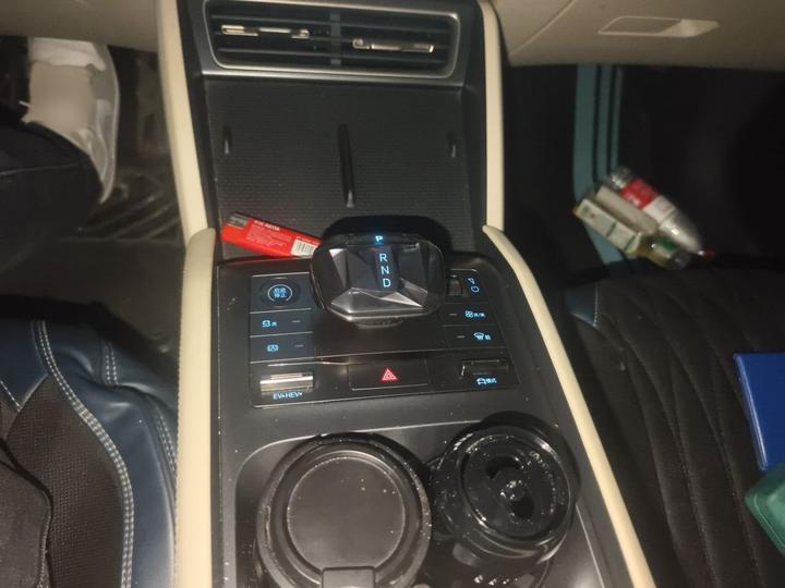 Qin L 2024 DM-i 80KM Leading photo 6