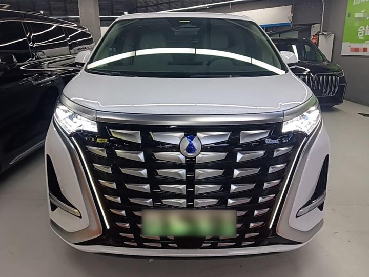 D9 2024 DM-i 980 AWD Noble photo 2