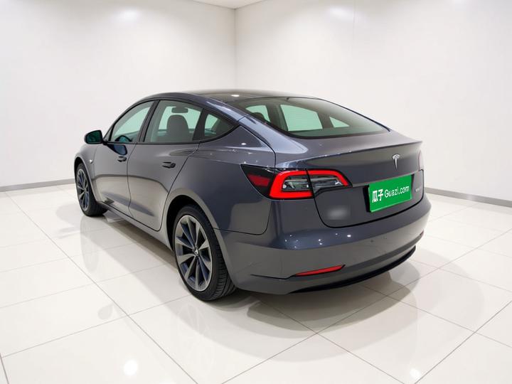 Model 3 2022 RWD photo 4
