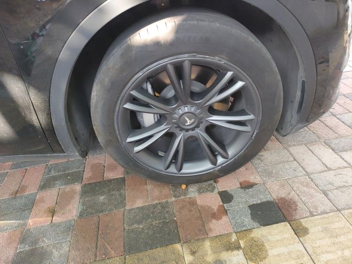 Model Y 2023 RWD photo 8