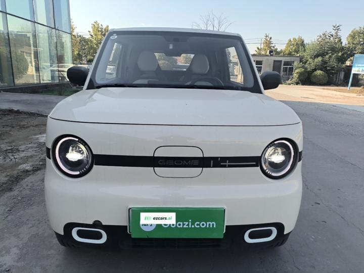 2025 Panda mini 210km Yuan photo 2