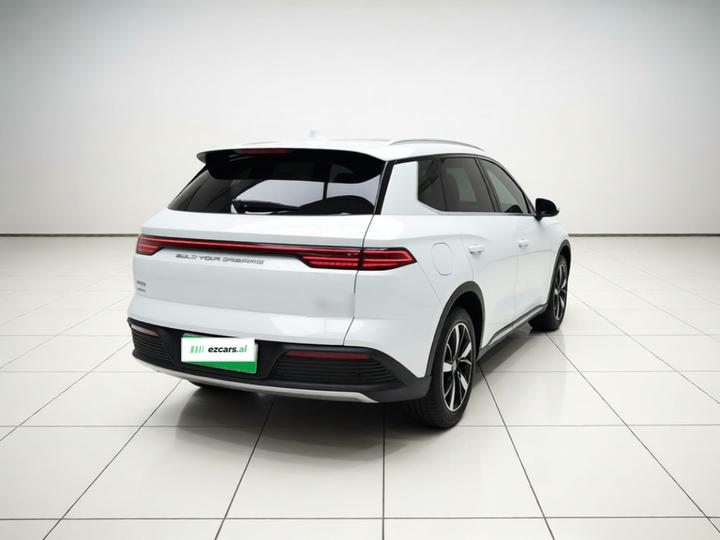 Song Pro EV 2024 Honor DM-i 71KM Pilot photo 6