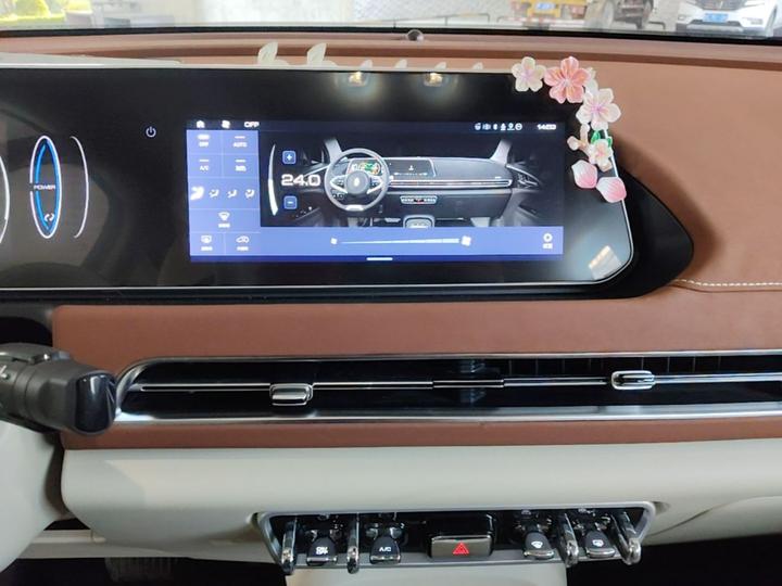 Good Cat 2022 400km Standard Range Premium LFP photo 8