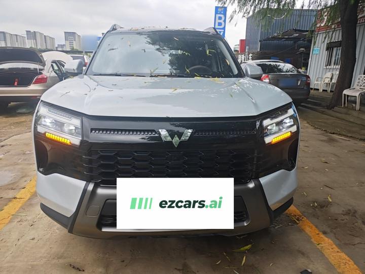 560 EV 2026 125km Luxury photo 2