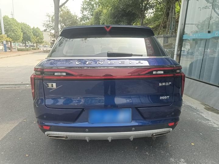 2020 260T AT 48V Mild Hybrid photo 5