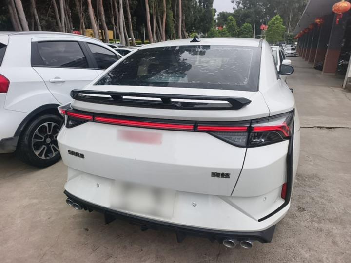 Yixuan 2021 230T AT photo 3