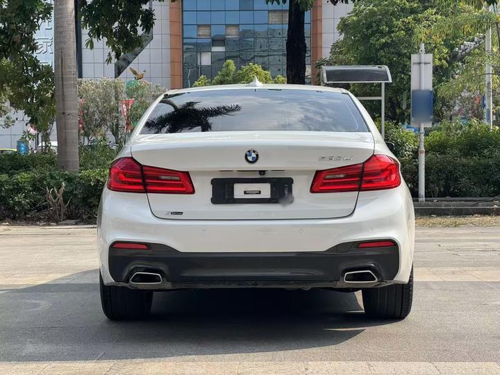 5 Series 2020 530Li xDrive M Sport Package photo 5