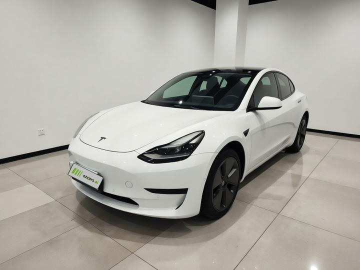 Model 3 2022 RWD