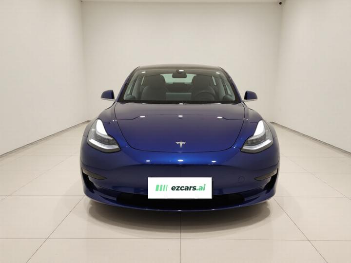 Model 3 Imported 2019 Long Range RWD photo 2