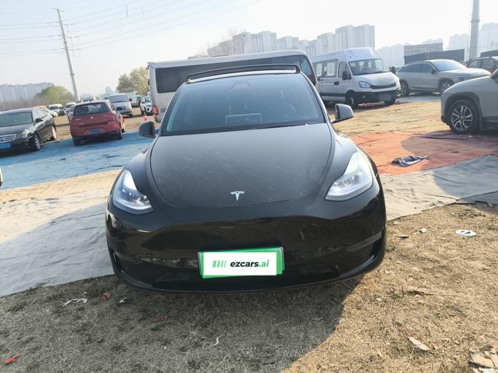 Model Y 2021 Long Range AWD photo 2