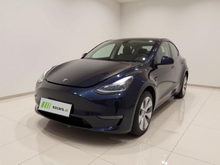 Model Y 2021 Standard Range RWD