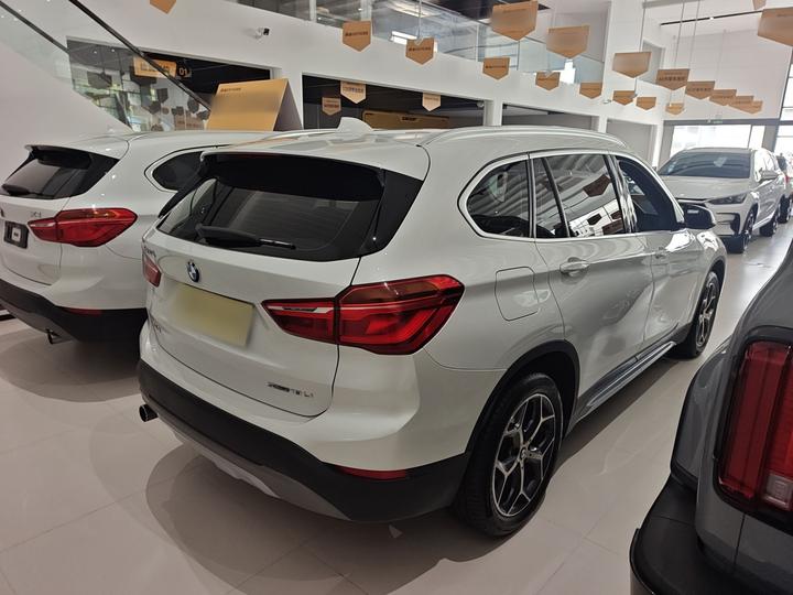 X1 2019 sDrive18Li Exclusive photo 4