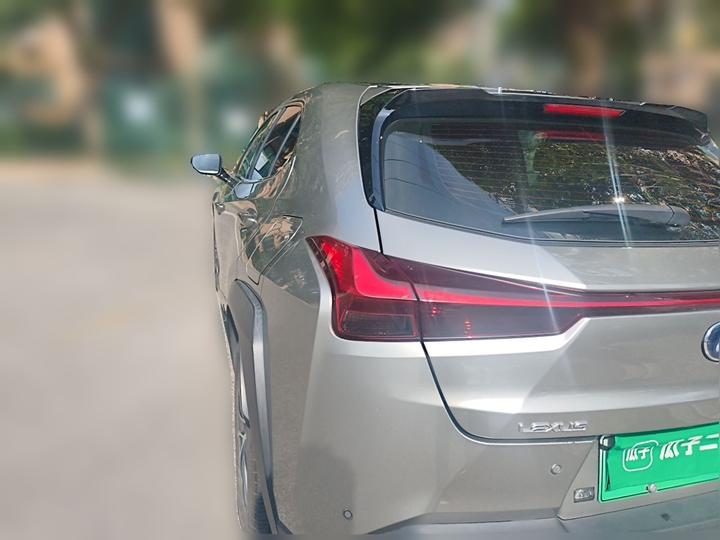 UX EV 2020 300e photo 4