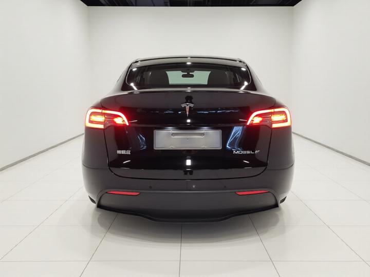 Model Y 2021 Standard Range RWD photo 5