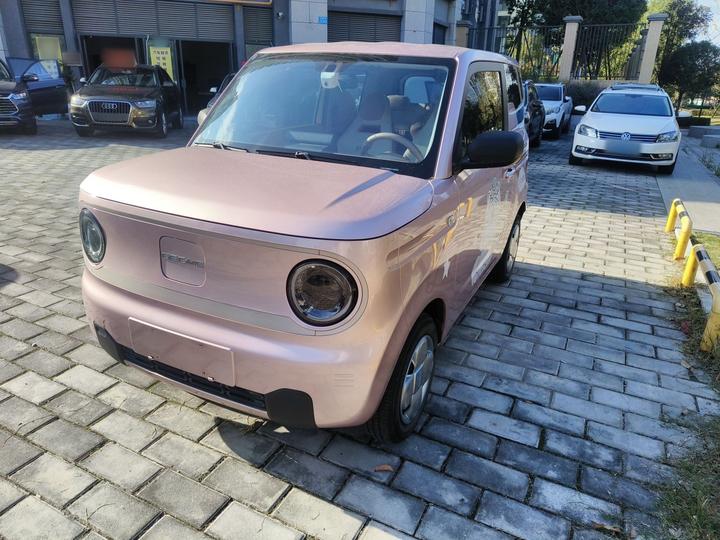 2023 Panda mini 200km Endurance Bear