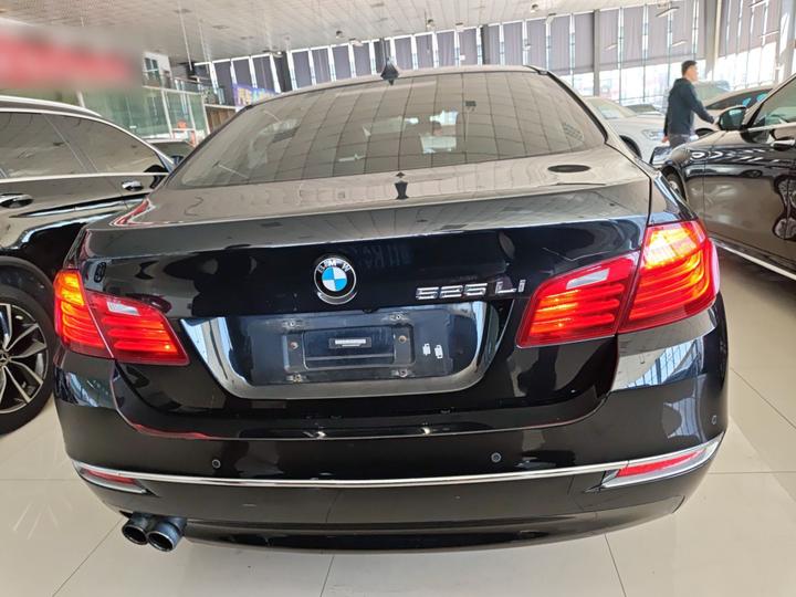 5 Series 2017 525Li Luxury Design Package photo 3